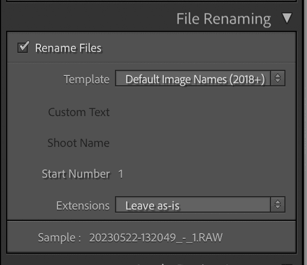 Rename Files in Lightroom on Import