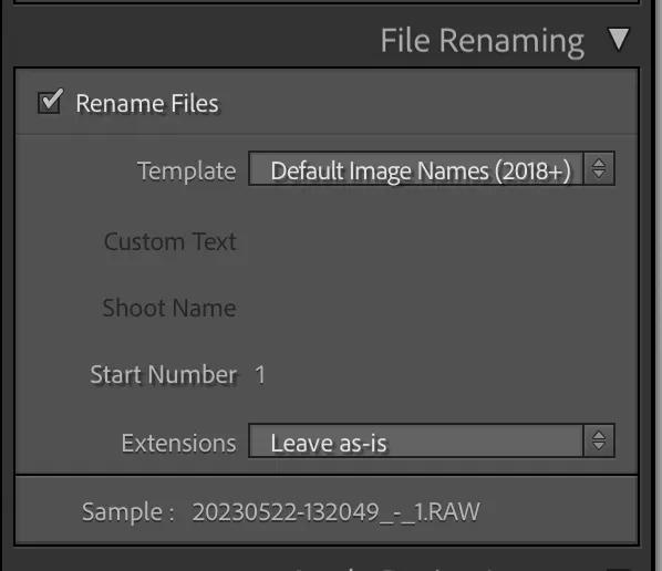 Rinomina File in Lightroom all'Importazione