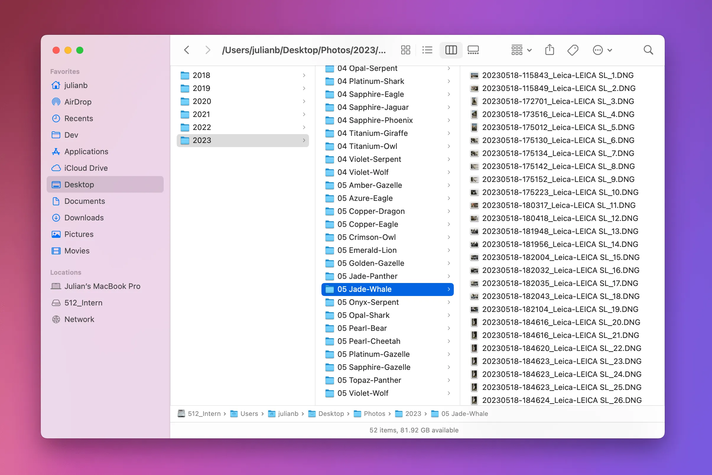 Il Miglior Modo per Organizzare i Tuoi File Fotografici
