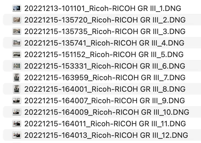 Ergebnis der umbenannten Dateien
