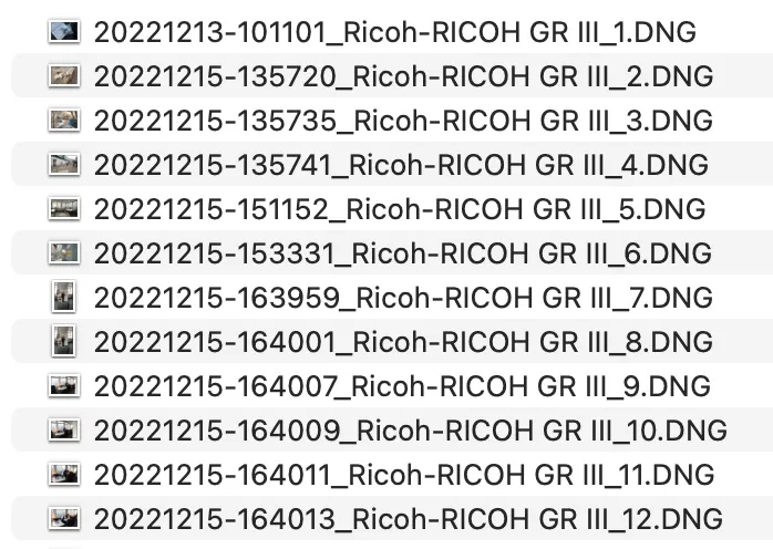 Risultato File Rinominati