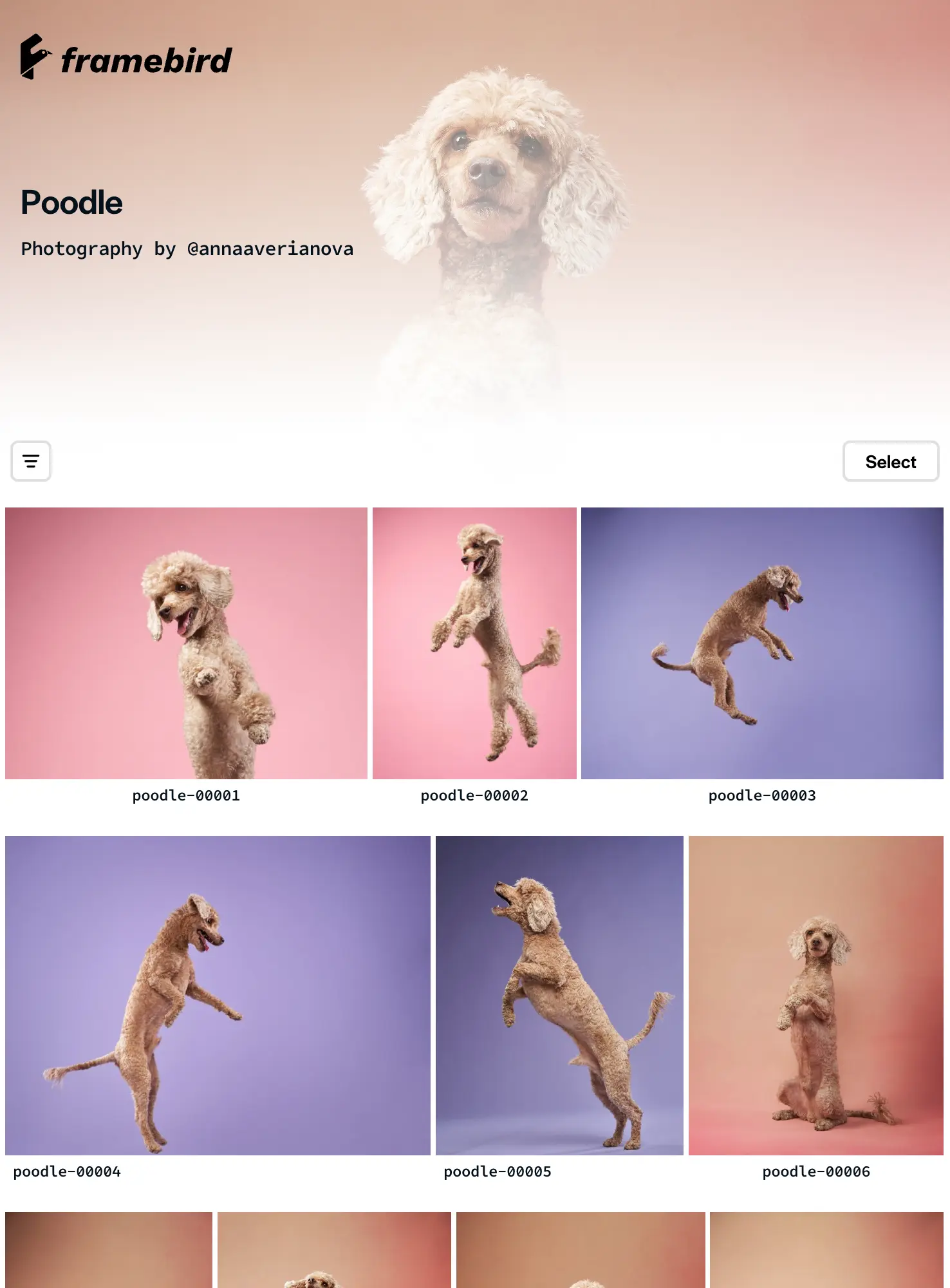 Anna Averianova - Share Preview