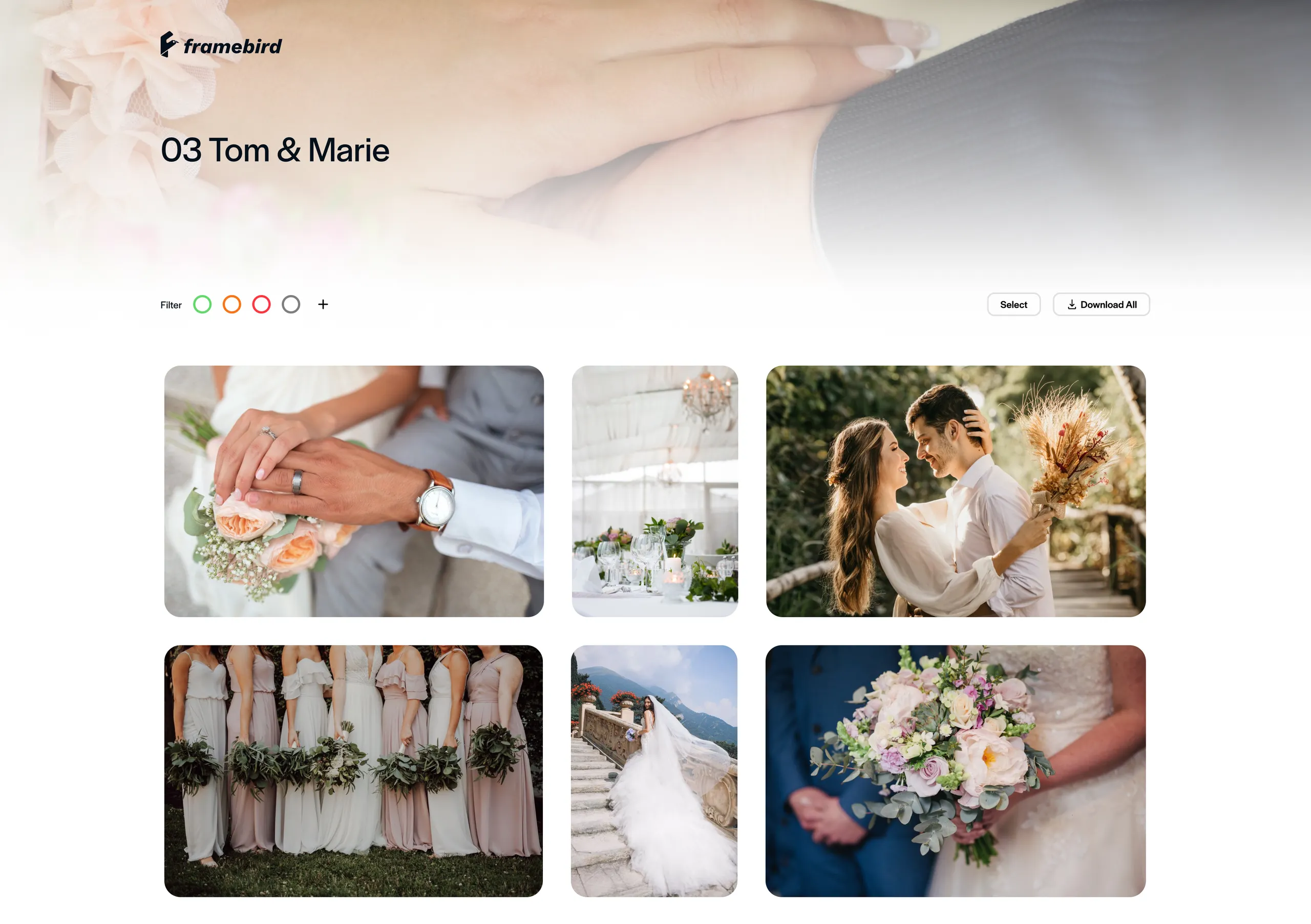 Wedding Showcase